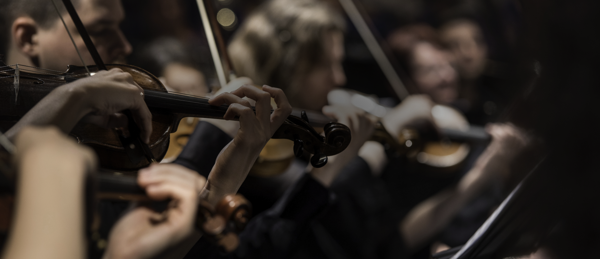 © Foto von Larisa Birta auf Unsplash